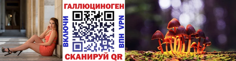 mega ONION Калининск Галлюциногенные грибы MAGIC MUSHROOMS